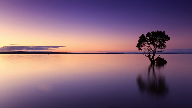 Peaceful Solitude