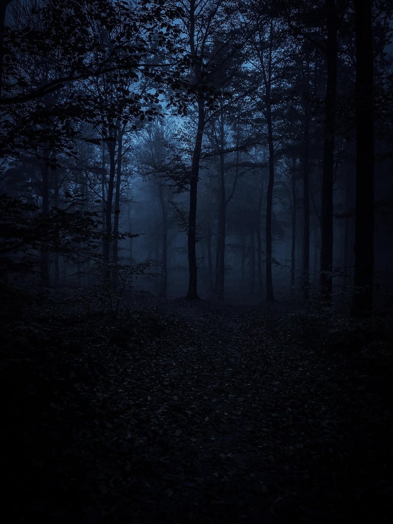 Unknown Wonders